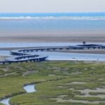Gaomei Wetlands