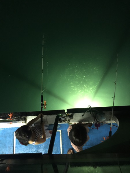 Night Squid Fishing Experience in Penghu