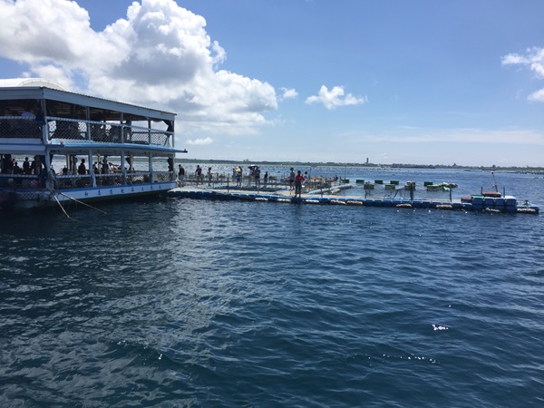 Ocean Ranch・Fresh Oyster Charcoal Grill