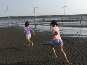 Gaomei Wetlands