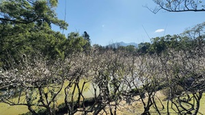 Jiaobanshan Park