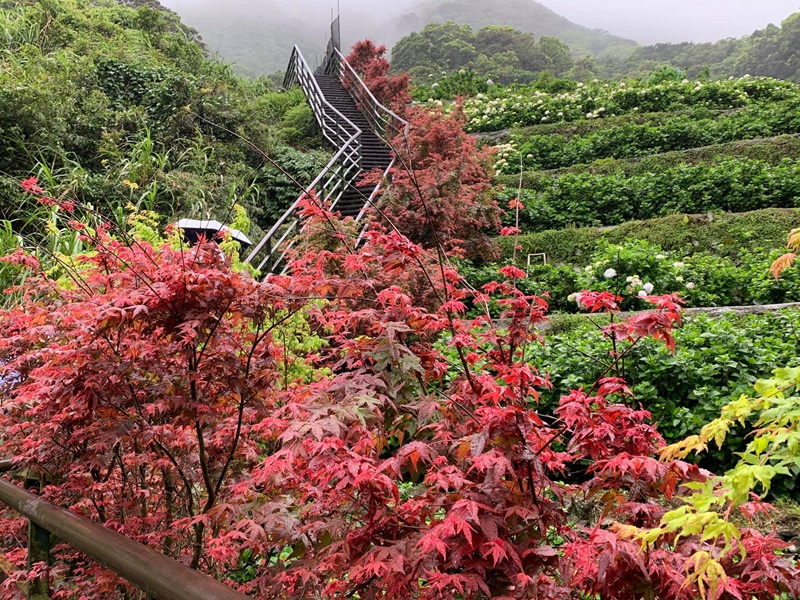Yangmingshan National Park