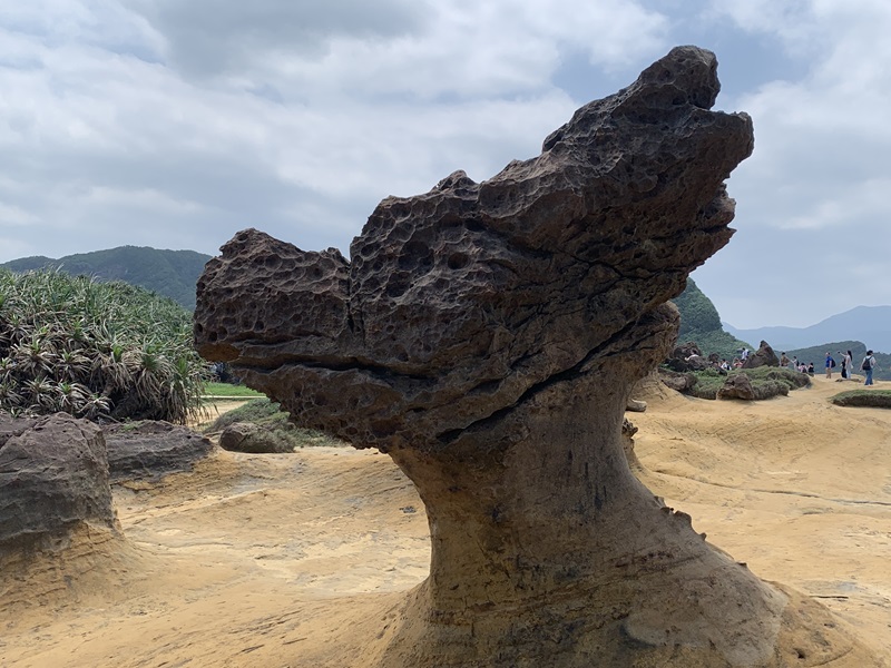 Yehliu Geopark Dragon Head Rock